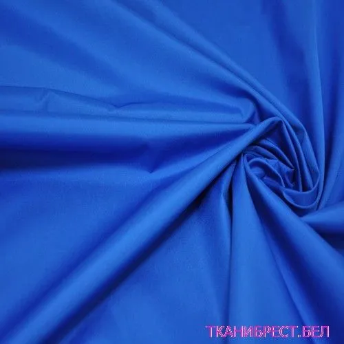 Плащевка Дюспо (василек)