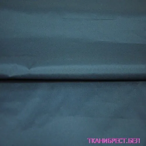 Плащевка Дюспо (синий)