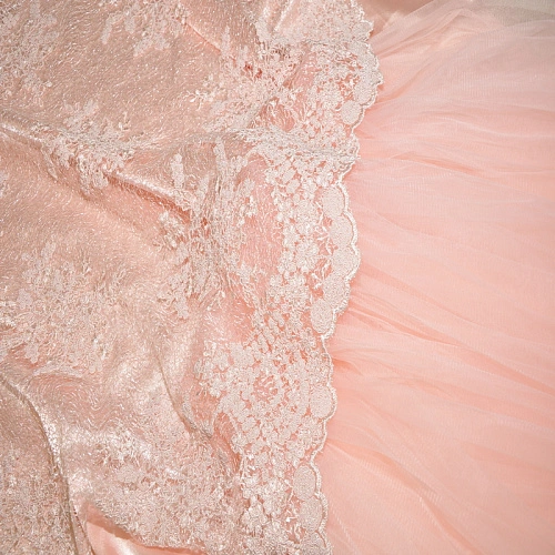 Вышивка на сетке с пайетками "Скарлет" (персик)