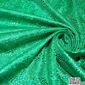 Голограмма (зелёный)