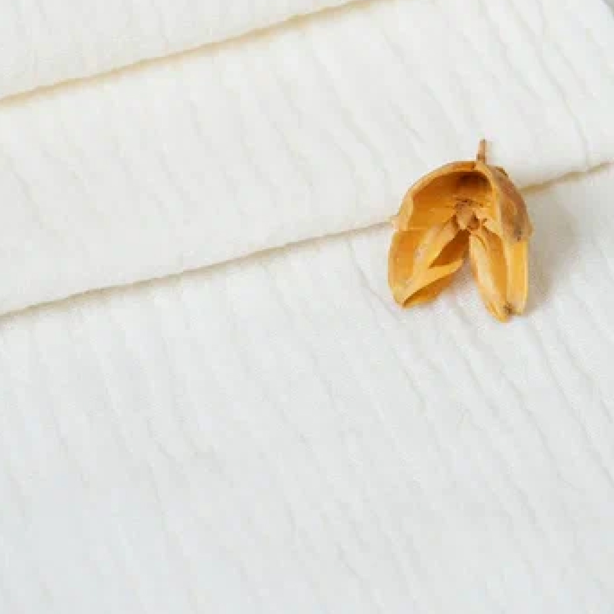 Муслин (шампань)