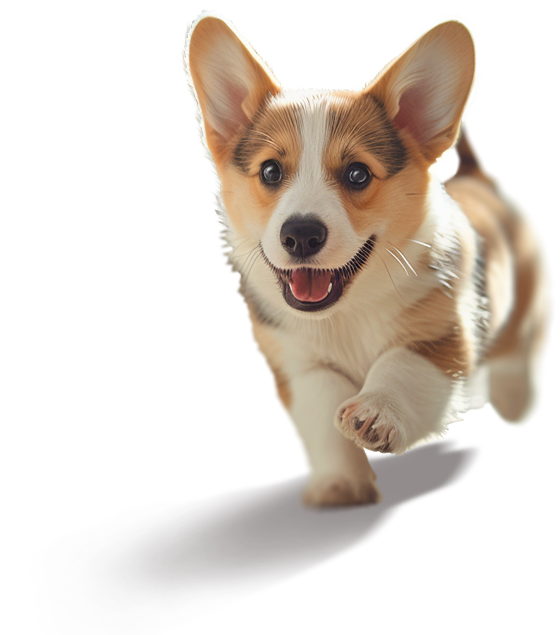 Готовимся к школе с tais.by