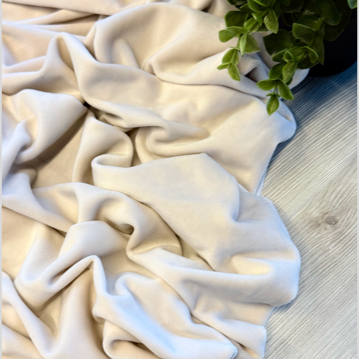 Велюр "Бамбук" (Крем) скидки на ткани в Минске оптом и в розницу | Трикотаж tais.by