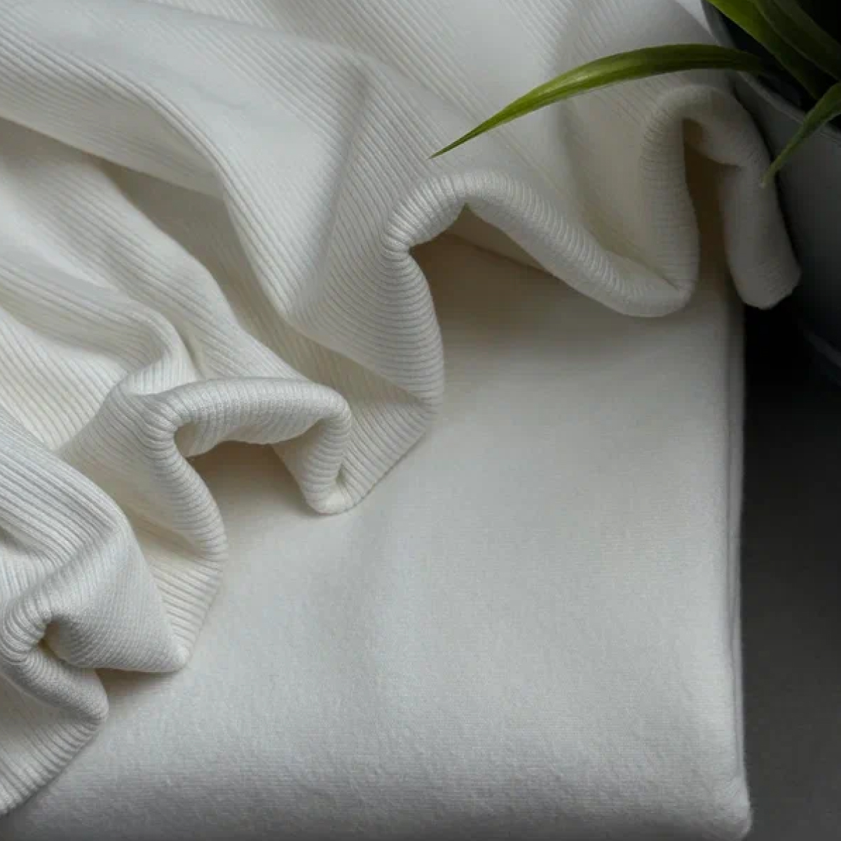 Кашкорсе чулок для 3-х нитки  с эффектом велюра (молоко) скидки на ткани в Минске оптом и в розницу | Трикотаж tais.by