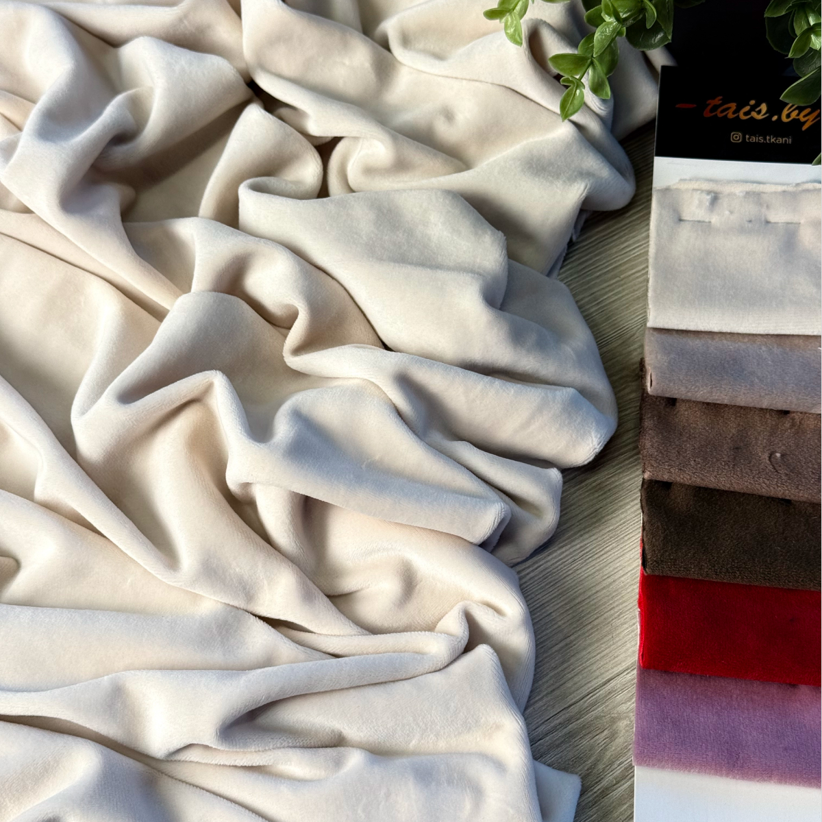 Велюр "Бамбук" (Крем) скидки на ткани в Минске оптом и в розницу | Трикотаж tais.by