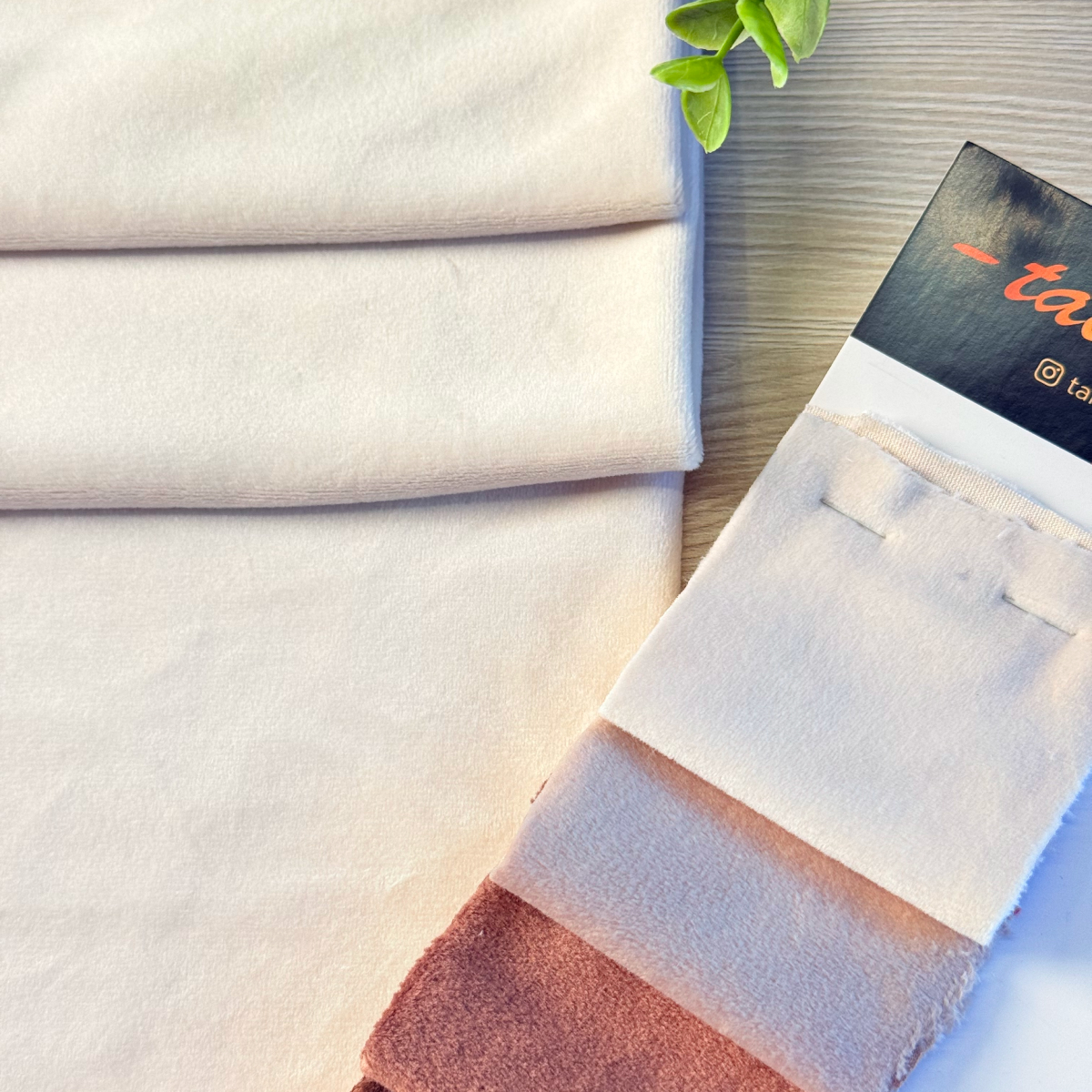 Велюр "Бамбук" (Крем) скидки на ткани в Минске оптом и в розницу | Трикотаж tais.by