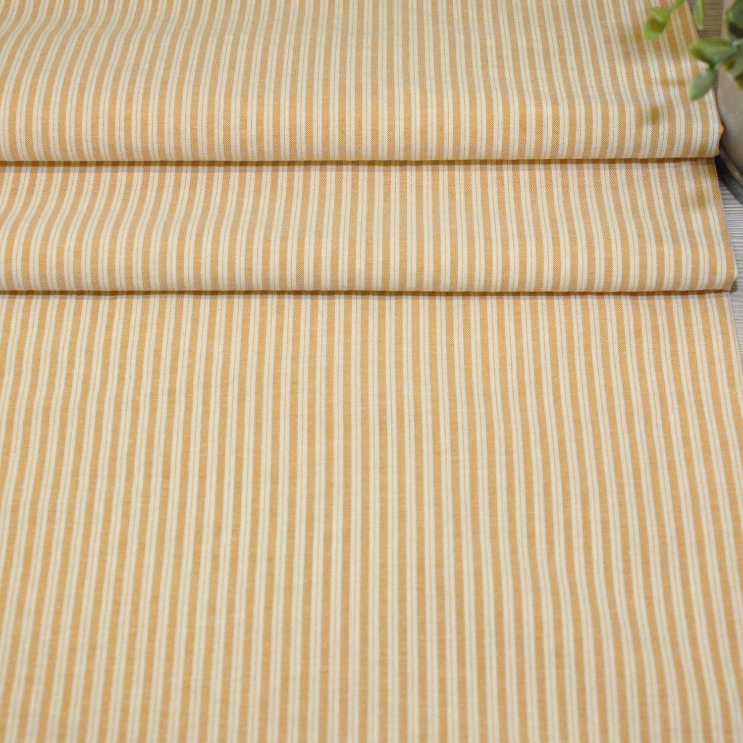 Рубашечная полоска (горчица)